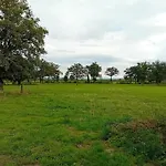 Dans La Campagne Nerisienne