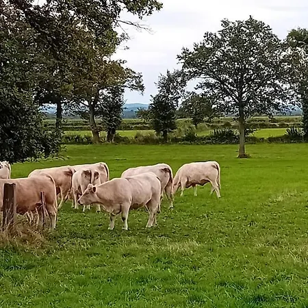 Dans La Campagne Nerisienne * Néris-les-Bains