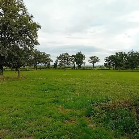 Dans La Campagne Nérisienne