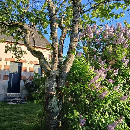Dans La Campagne Nerisienne 公寓 内里莱班
